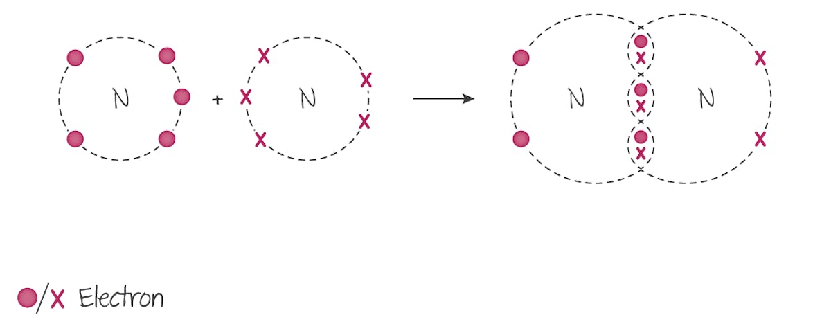 C3 (Ions and ionic bonds, Elements, compounds and mixtures, Molecules and…