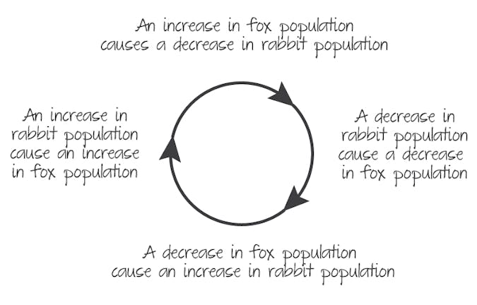 Predator prey negative feedback loop.