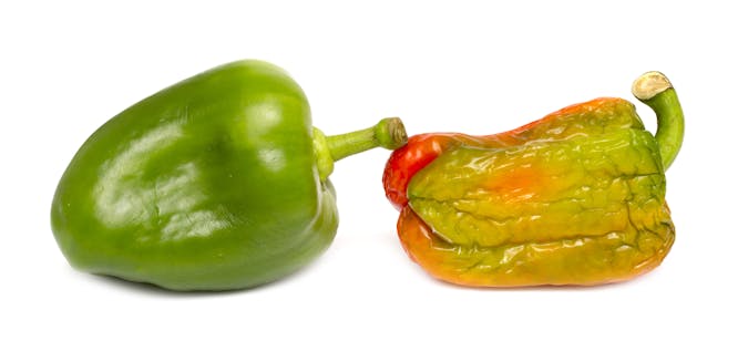 Entropy in a green pepper.