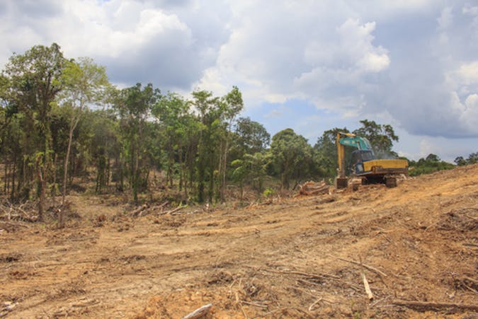 Large scale deforestation in Malaysia.