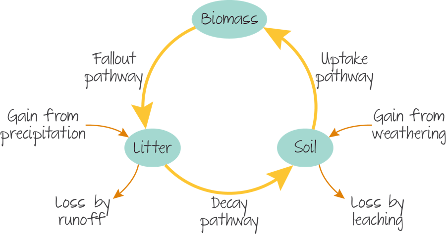 Gersmehl nutrient cycle.