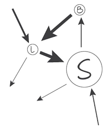 Nutrient cycle for temperate grasslands.