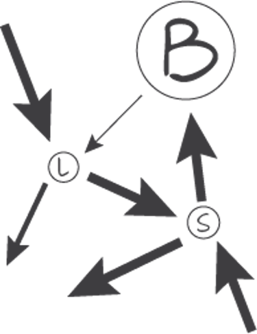 Nutrient cycle for tropical rainforest.