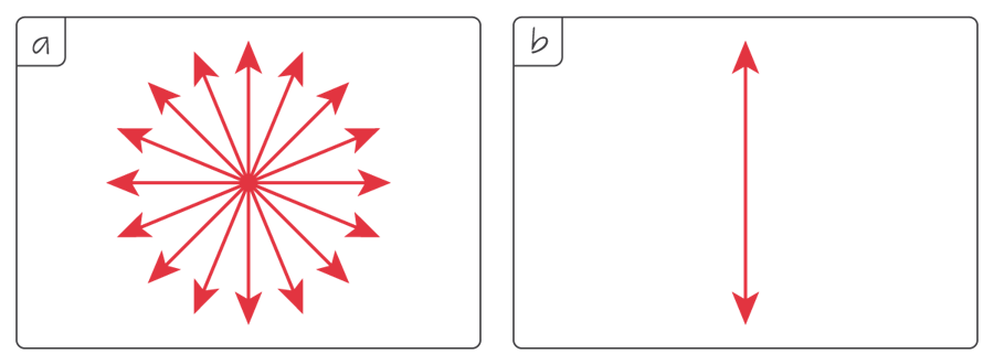 Electric field oscillation directions in an (a) unpolarised and (b) polarised light beam from a viewpoint set in front of it.