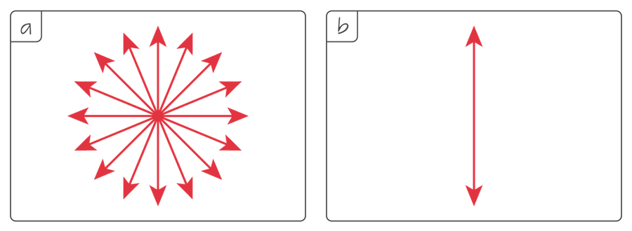 Electric field oscillation directions in an (a) unpolarised and (b) polarised light beam from a viewpoint set in front of it.