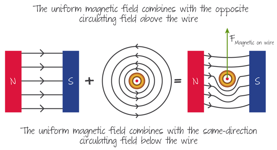 The combined electromagnetic field in the region between the poles, and the force on the wire.