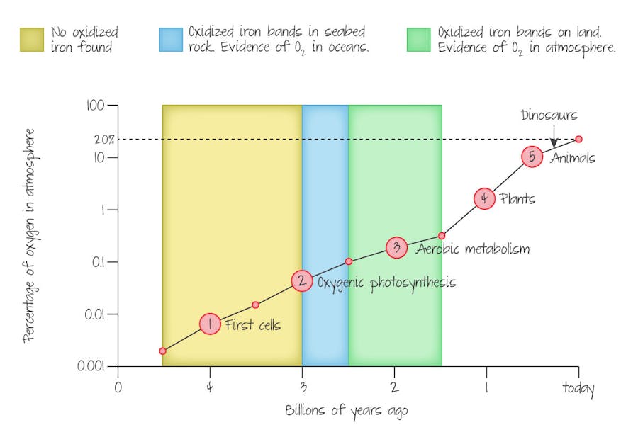 Relationship between oxygen levels in the atmosphere over time and key events.