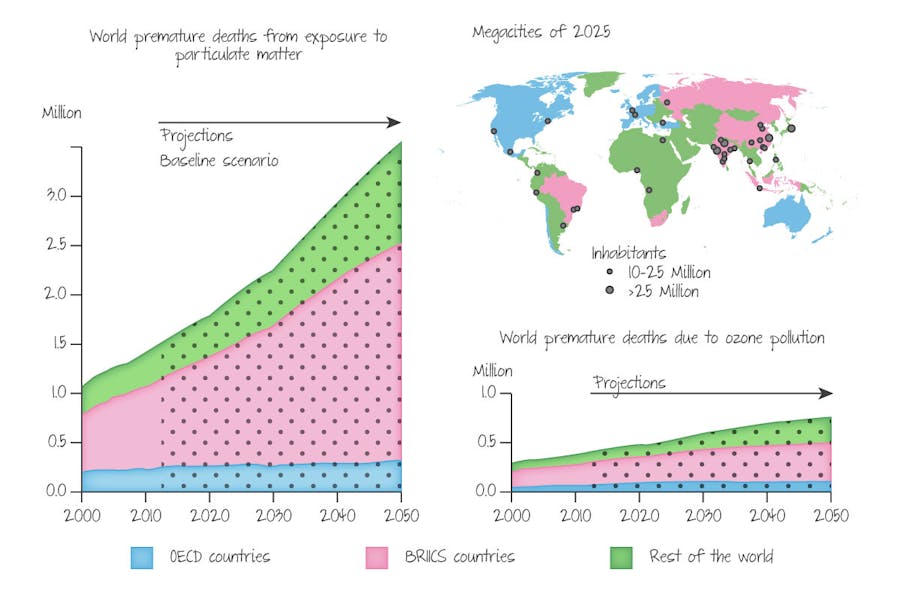 Premature deaths due to particulate matter (smoke and soot) and ozone pollution (main component of photochemical smog).