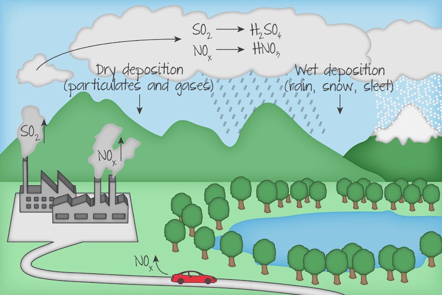 Acid deposition.