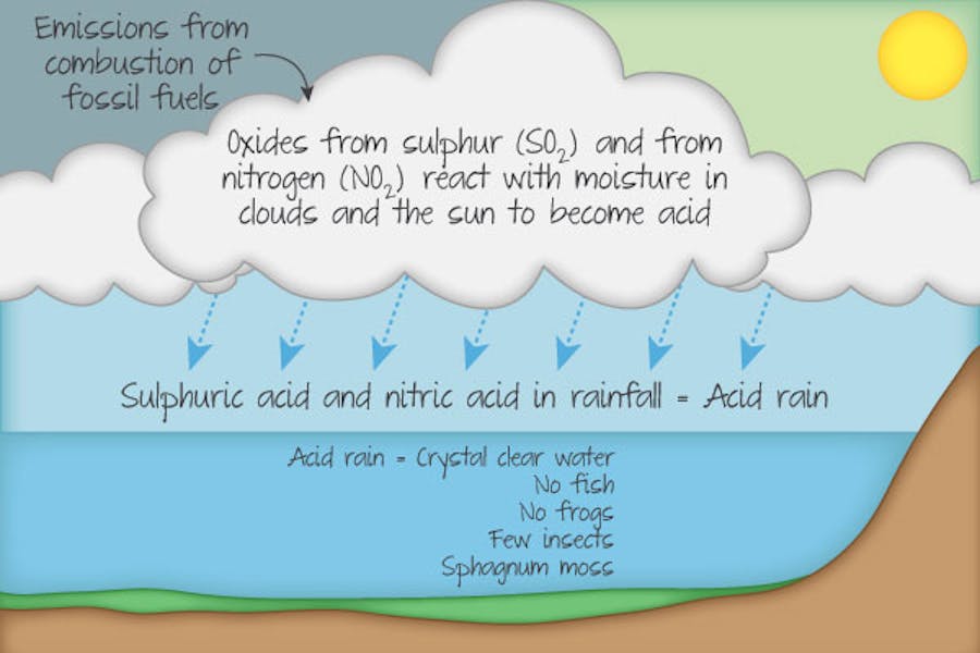 Acid deposition can reduce biodiversity within an aquatic ecosystem which can become dominated by acid tolerant species such as Sphagnum moss.