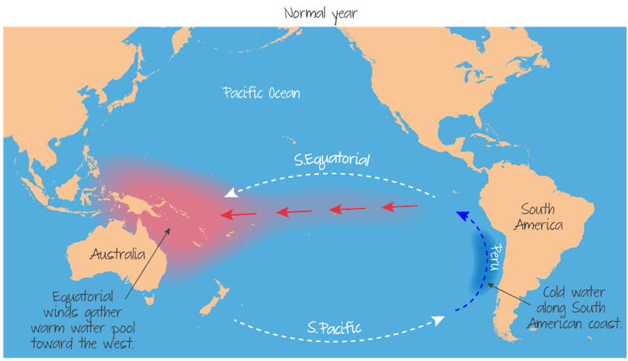 Normal year - absence of El Niño phenomenon.