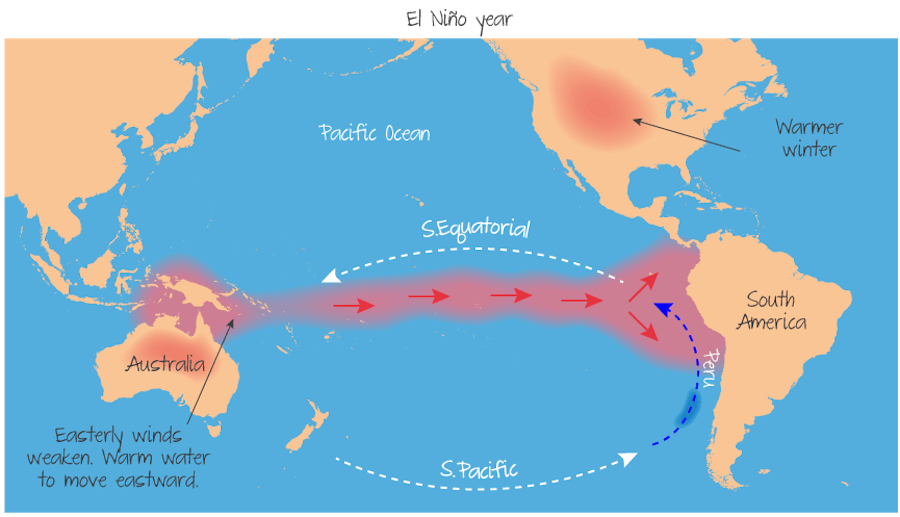 The El Niño phenomenon (El Niño year).