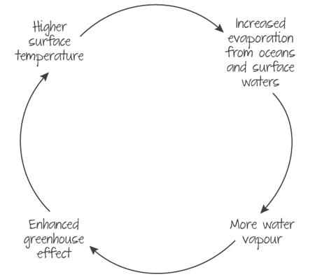 Positive feedback mechanism affecting climate change.