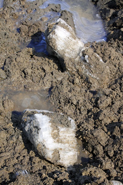 Permafrost - soil subsurface layers are thawing releasing methane.