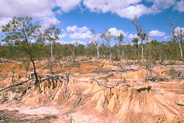 Climate change could exacerbate desertification.