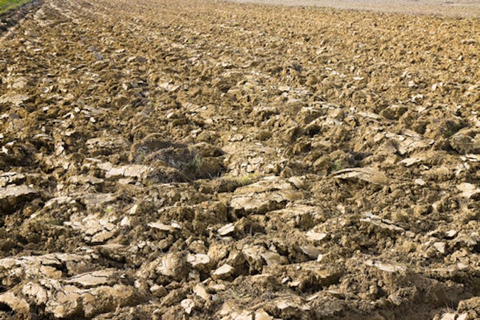 Ploughing encourages loss of carbon from the soil.