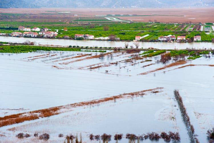 Flooding of agriculture fields can kill crops.