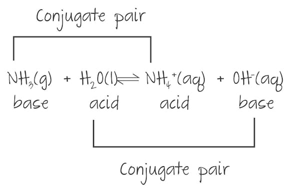 The two conjugate pairs in the reaction; note that each conjugate pair differs by a proton.  