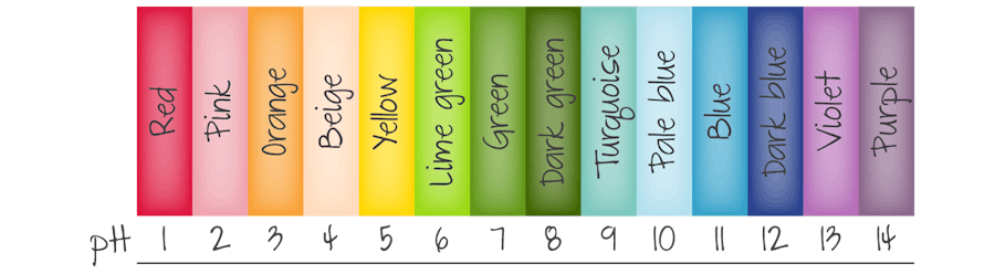 The pH scale and the Universal Indicator colours.